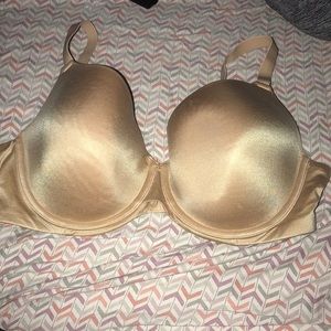 38D bra